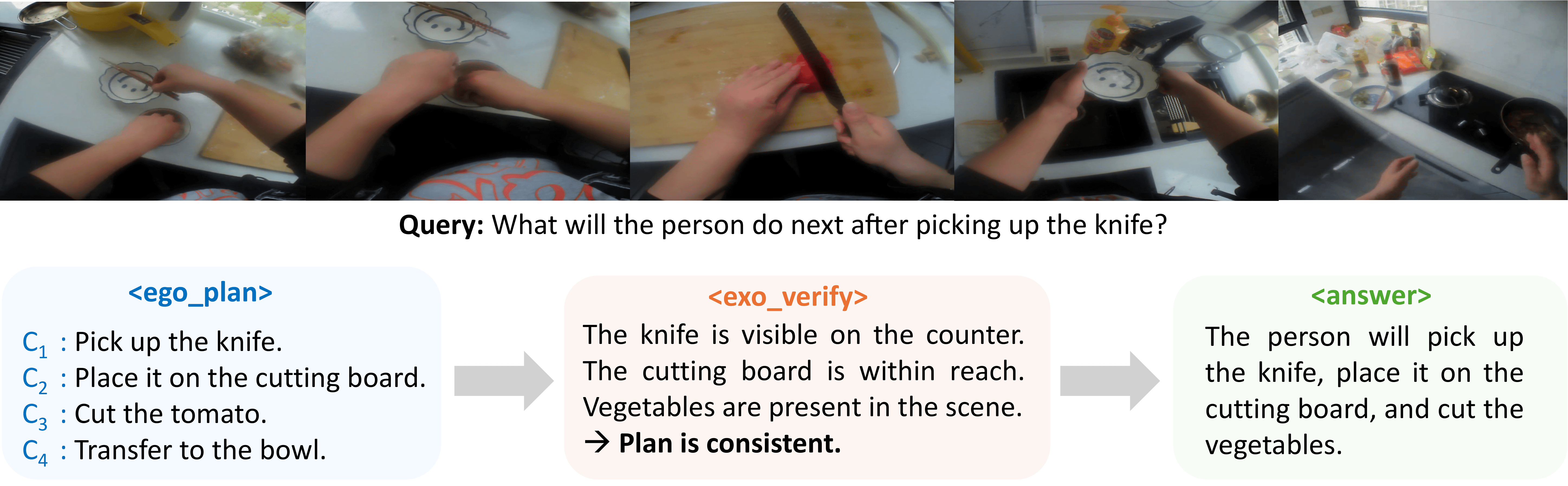 EgoVITA preview image