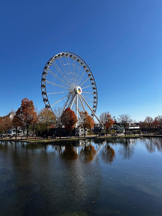 La Grande Roue, Old Port